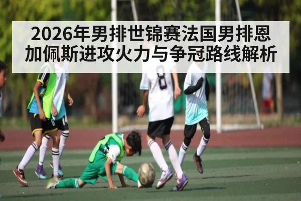 2026年男排世锦赛法国男排恩加佩斯进攻火力与争冠路线解析